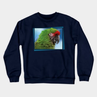 military macaw Crewneck Sweatshirt